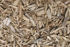 biomass boilers Ardroag